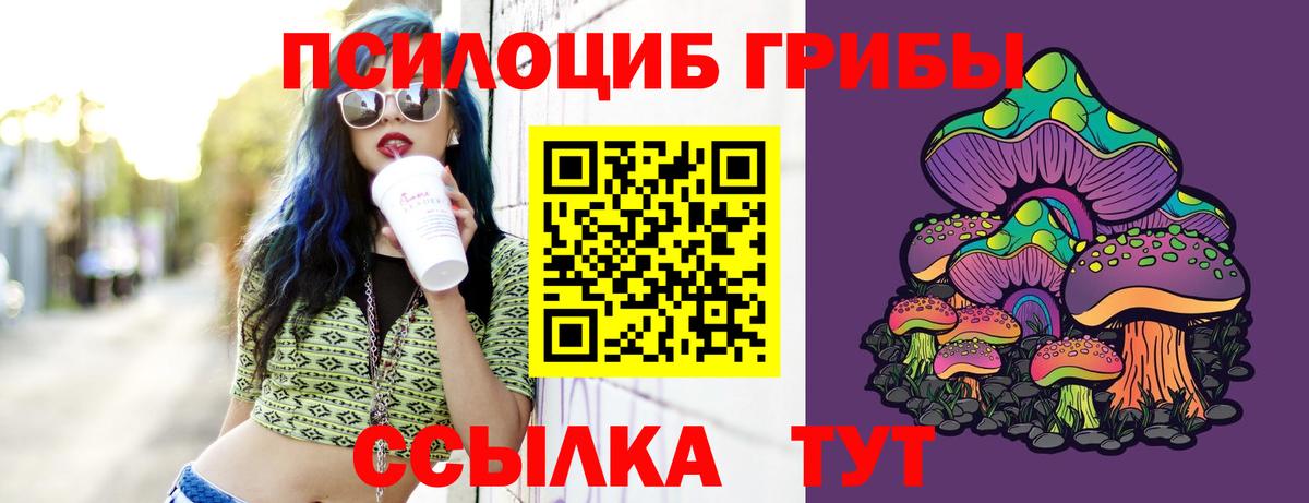 Туапсе  Псилоцибиновые грибы MAGIC MUSHROOMS  Вход с VPN 