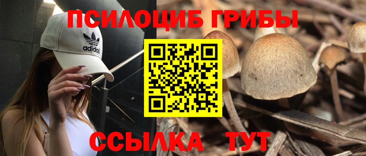 Псилоцибиновые грибы Magic Shrooms Туапсе